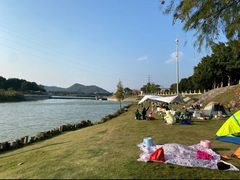 -风云岭森林公园