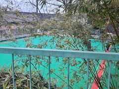 -九华山公园