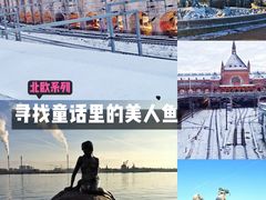 -美人鱼