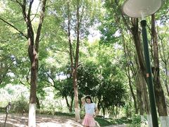 -重庆彩云湖湿地公园