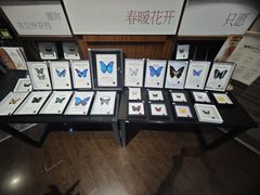 -三联韬奋书店(三里屯店)