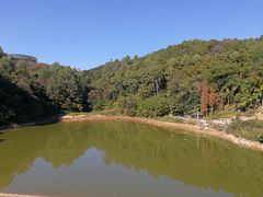 -谷丰健康凤贤居酒家
