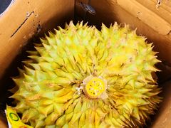 -上海龙吴水胜海发市场