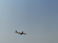 -空港花田景区