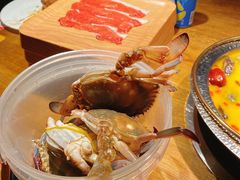 -蟹将军·松叶蟹和牛日料放题自助(K11店)