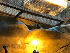 -蓬莱欧乐堡海洋极地世界