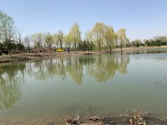 -东郊湿地公园