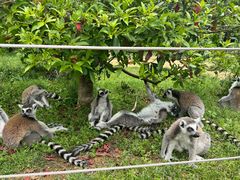 -杭州野生动物世界