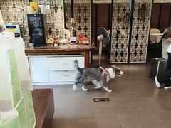 -陈江波老鸭煲(化工路店1号店)