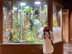 -帕帕拉兹宠物(亚洲旗舰店)