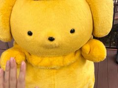 -安吉Hello Kitty乐园