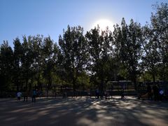 -东升文体公园