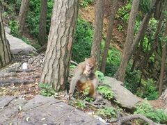 -黔灵山公园