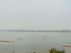 -八仔大富楼·河鲜(西江店)