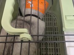 -贝康宠物医院·犬猫全科·小动物特色诊疗中心(东环路店)