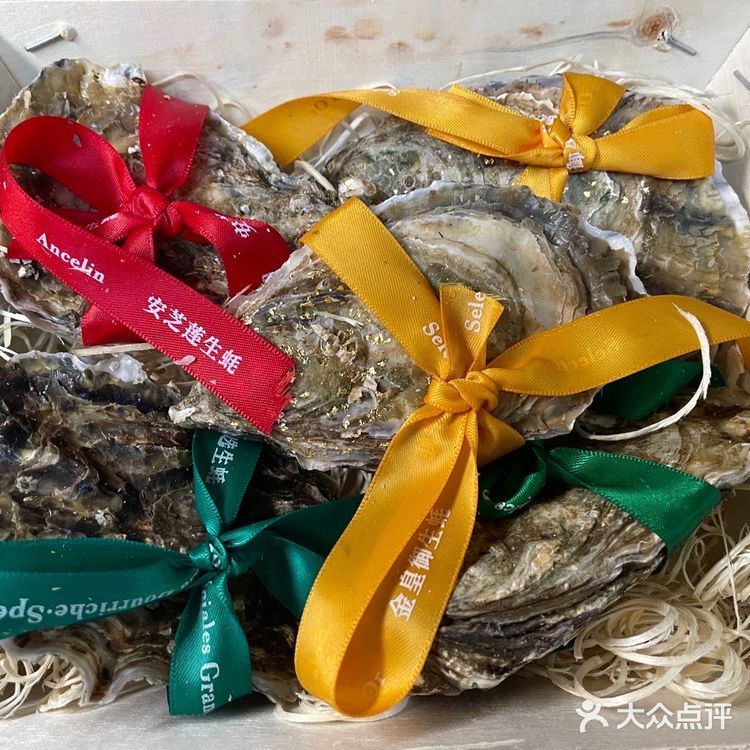 吉吉今天也在吃 blog 09 🦪