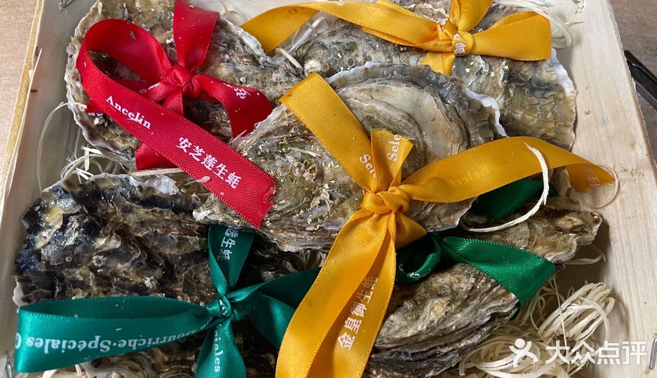 吉吉今天也在吃 blog 09 🦪