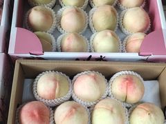 -南汇新场正宗水蜜桃采摘