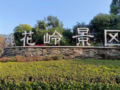 -桃花岭景区