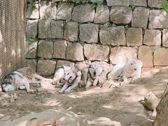 -杭州长乔极地海洋公园