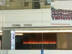 -陈露国际冰上中心(天津嘉里汇店)