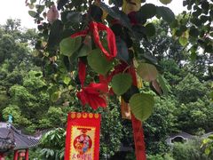 -国恩寺