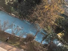 -曲江惠宾苑宾馆(大雁塔大唐不夜城店)