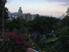 -仙岳公园