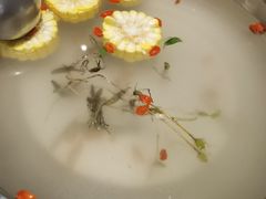 -张凯达·深海石斑鱼潮汕火锅(十五年品牌•虹桥天街店)