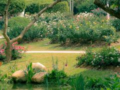 -人民公园(罗湖区)