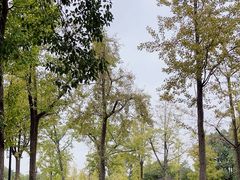 -苏州吴中太湖旅游区