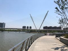 -映月湖中央公园