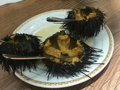 -红叶日料·放题·海胆·定食(星海店)