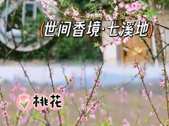 -广东花都湖国家湿地公园