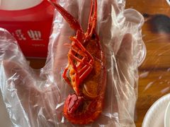 -五七小李子油焖大虾(总店)