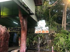 -绿光森林餐厅