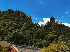 -缙云山景区