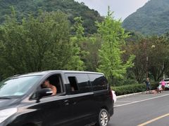 -陕西省红河谷森林公园