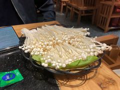 -明何记涮牛肚(品牌首店隋唐植物园南门古城路店)