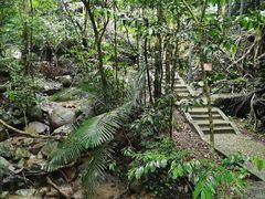 -七仙岭温泉国家森林公园