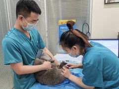 -美迦爱-牙专科·兔科·骨科诊疗中心(北苑店)