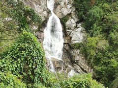 -海南热带雨林国家公园吊罗山景区