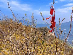 -云蒙山风景区