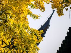 -西园戒幢律寺
