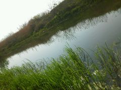 android_upload_pic-新江湾城公园