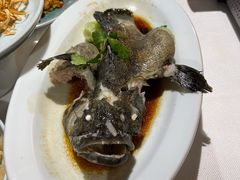 清蒸海斑鱼-顺峰(农展馆店)