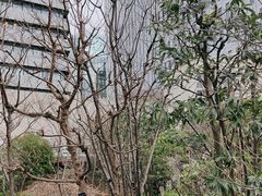 -阪急百货店(梅田总店)