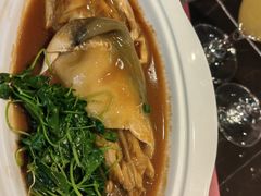 -沈灶河豚宴·河豚融合餐厅(汉中路店)