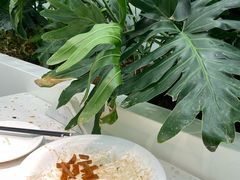 -大树餐厅(环球港店)
