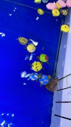 -孩子王(铁西万达店)